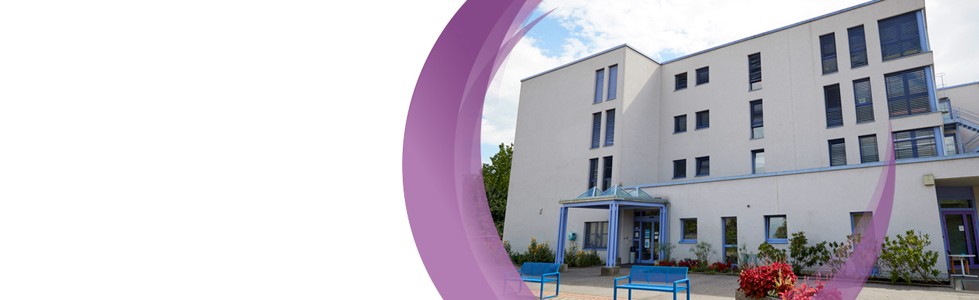 header-slide_lilas